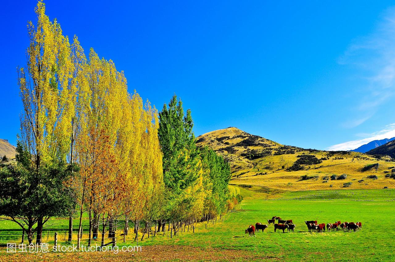 盤錦到鞍山的火車時(shí)刻表——快速查詢火車票信息